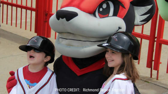 Flying Squirrels Nutsy