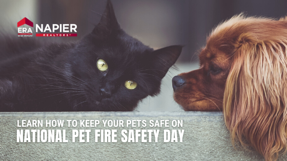 Pet Fire Safety Day